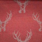 Rot (AD_08943)